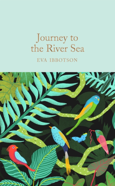 Journey to the River Sea, Hardback Book