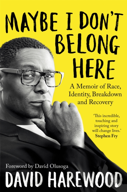 Maybe I Don't Belong Here : A Memoir of Race, Identity, Breakdown and Recovery, Paperback / softback Book