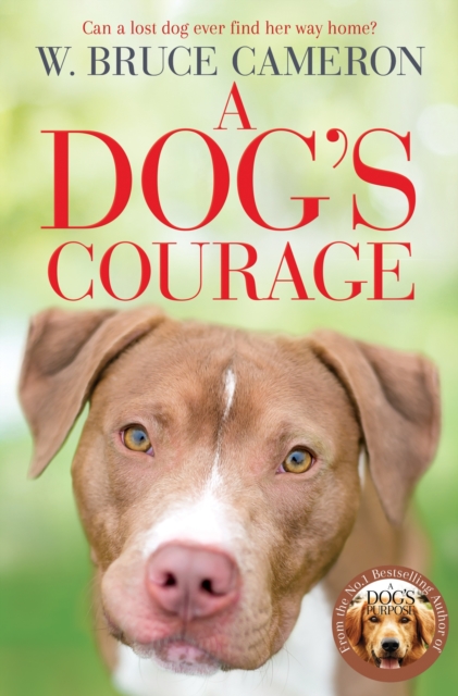 A Dog's Courage, Paperback / softback Book