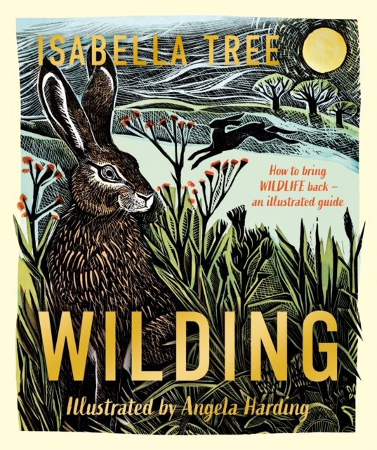 Wilding: How to Bring Wildlife Back - The NEW Illustrated Guide, Hardback Book