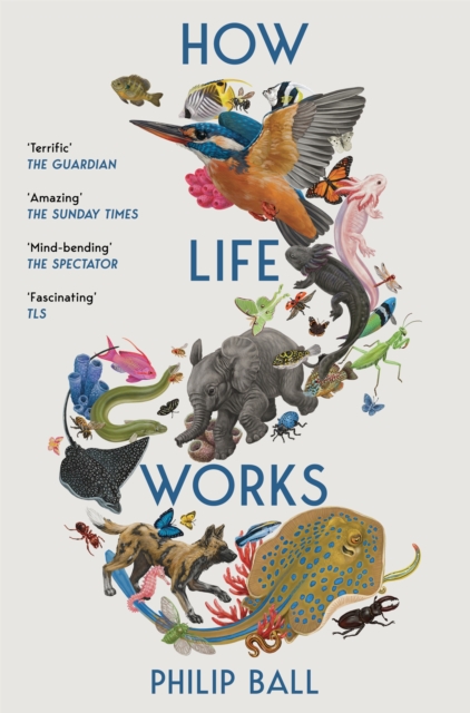 How Life Works : A User's Guide to the New Biology, EPUB eBook