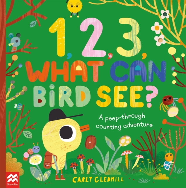 1, 2, 3, What Can Bird See? : A peep-through counting adventure, Paperback / softback Book