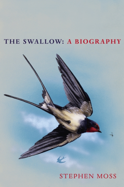 The Swallow : A Biography (Shortlisted for the Richard Jefferies Society and White Horse Bookshop Literary Award), Hardback Book