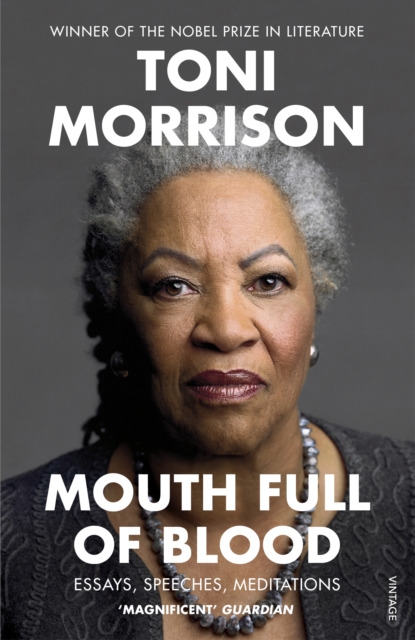 Mouth Full of Blood : Essays, Speeches, Meditations, Paperback / softback Book