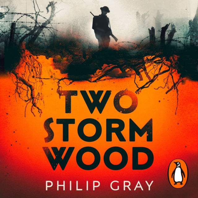 Two Storm Wood : Uncover an unsettling mystery of World War One in the The Times Thriller of the Year, eAudiobook MP3 eaudioBook