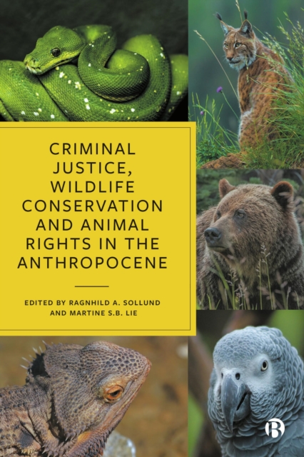 Criminal Justice, Wildlife Conservation and Animal Rights in the Anthropocene, EPUB eBook