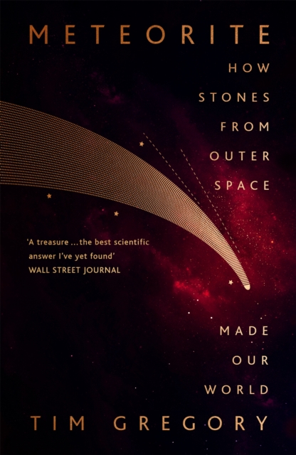 Meteorite : How Stones From Outer Space Made Our World, Paperback / softback Book