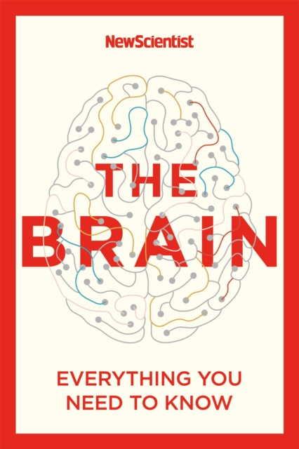 The Brain : Everything You Need to Know, Paperback / softback Book