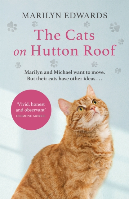 The Cats on Hutton Roof, Paperback / softback Book