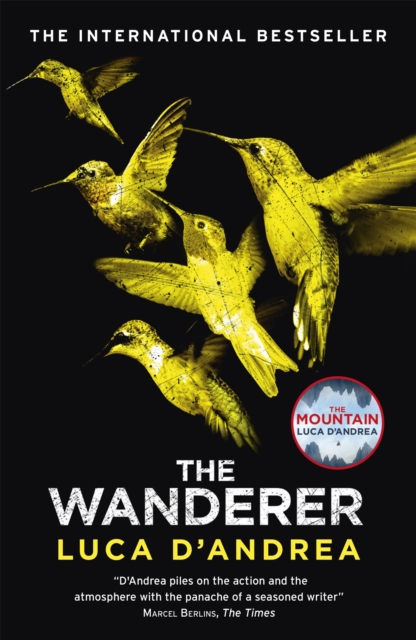 The Wanderer : The Sunday Times Thriller of the Month, Paperback / softback Book