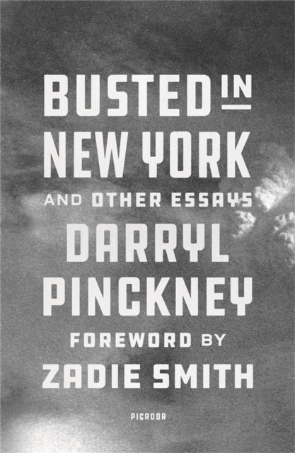 Busted in New York & Other Essays : with an introduction by Zadie Smith, EPUB eBook