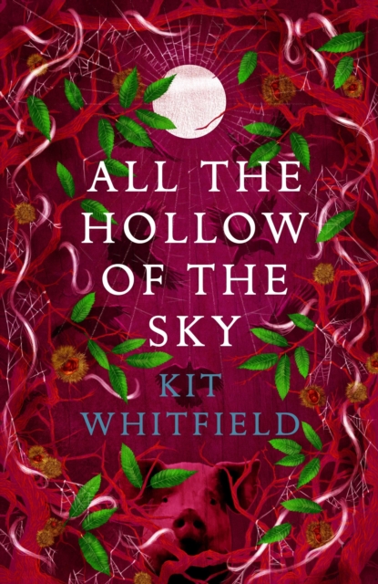 All the Hollow of the Sky : An enthralling novel of fae, folklore and forests, Hardback Book
