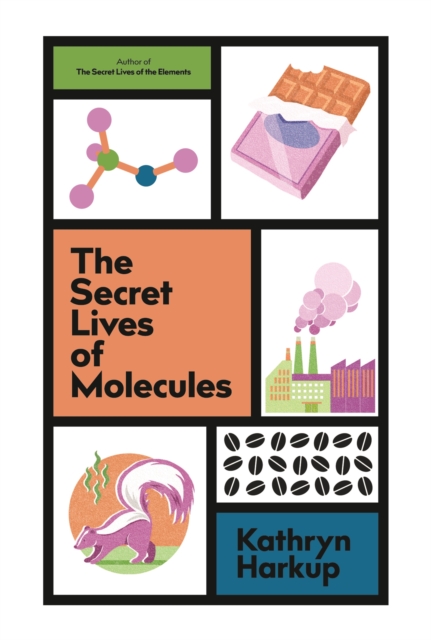 The Secret Lives of Molecules, Hardback Book