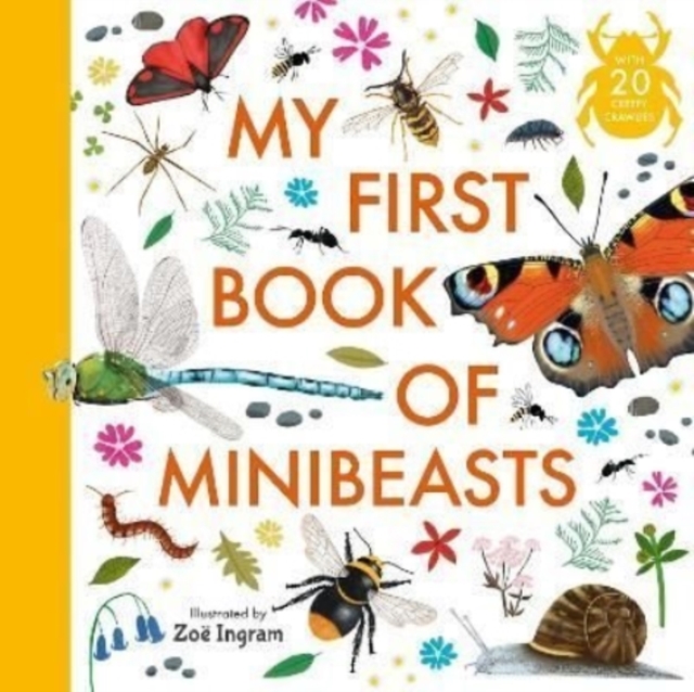 My First Book of Minibeasts, Hardback Book