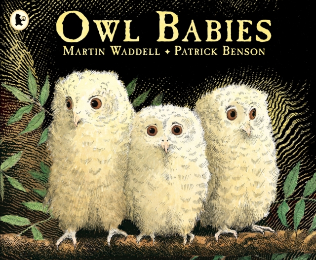 Owl Babies, PDF eBook