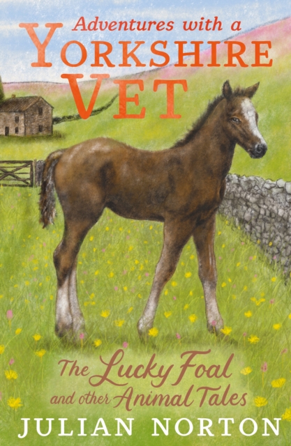 Adventures with a Yorkshire Vet: The Lucky Foal and Other Animal Tales, Hardback Book