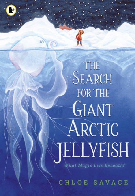 The Search for the Giant Arctic Jellyfish, Paperback / softback Book
