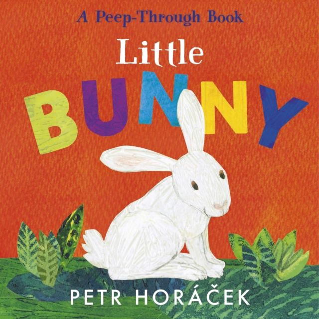 Little Bunny, Board book Book