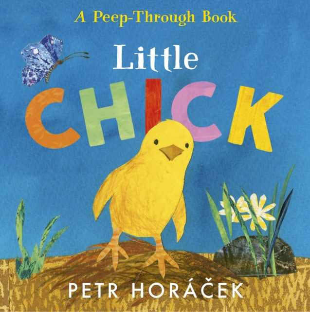 Little Chick, Board book Book