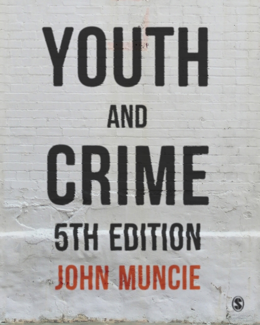 Youth and Crime, EPUB eBook