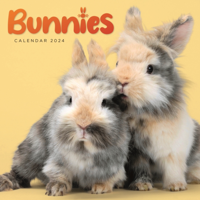 Bunnies Mini Calendar 2024, Calendar Book