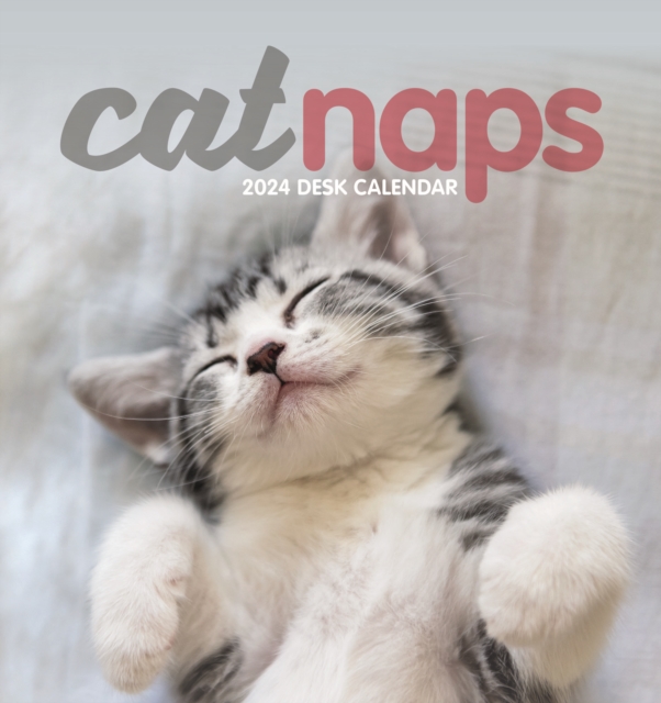 Cat Naps Easel Desk Calendar 2024, Calendar Book