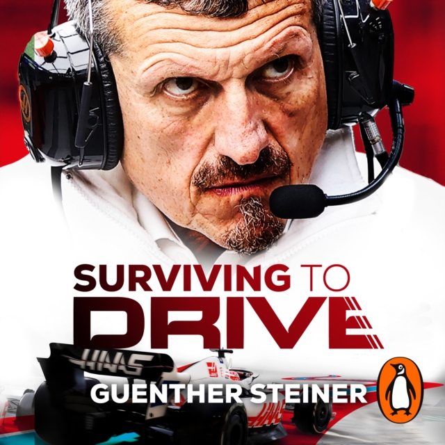 Surviving to Drive : A Year Inside Formula 1, eAudiobook MP3 eaudioBook
