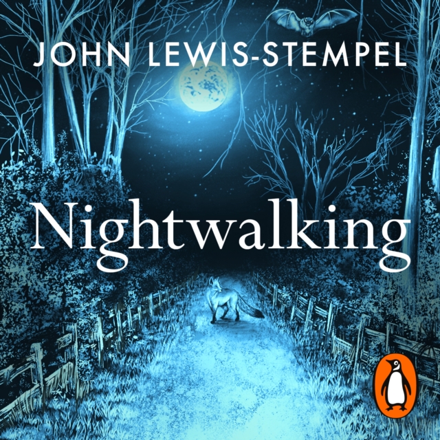 Nightwalking : Four Journeys into Britain After Dark, eAudiobook MP3 eaudioBook