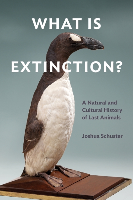 What Is Extinction? : A Natural and Cultural History of Last Animals, Paperback / softback Book