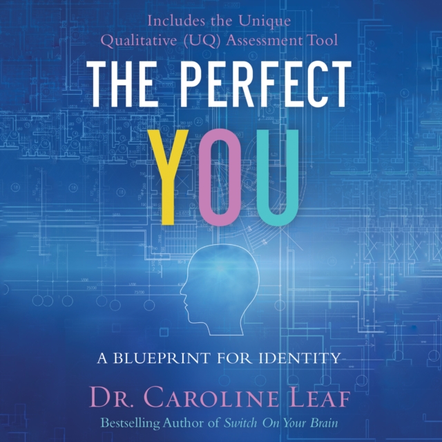 The Perfect You : A Blueprint for Identity, eAudiobook MP3 eaudioBook