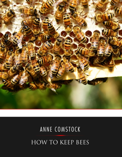 How to Keep Bees, EPUB eBook