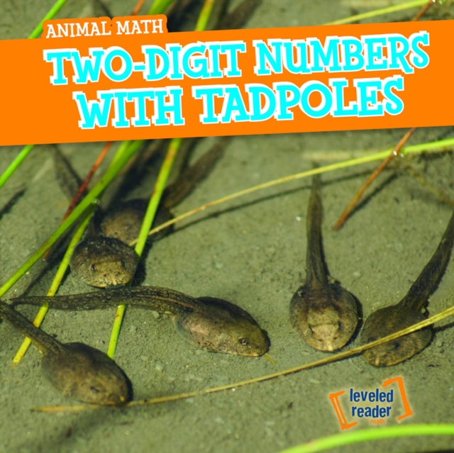 Two-Digit Numbers with Tadpoles, PDF eBook