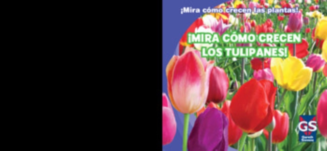 !Mira como crecen los tulipanes! (Watch Tulips Grow), PDF eBook