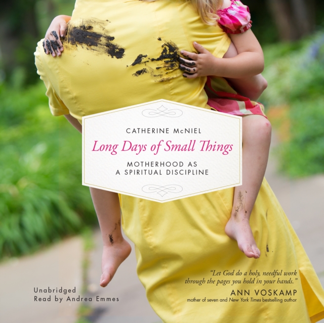 Long Days of Small Things, eAudiobook MP3 eaudioBook