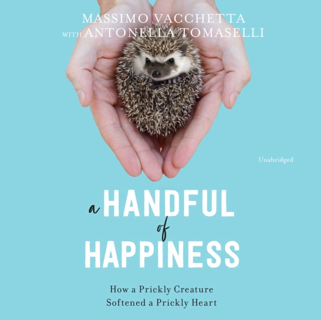 A Handful of Happiness, eAudiobook MP3 eaudioBook