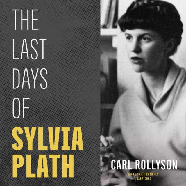 The Last Days of Sylvia Plath, eAudiobook MP3 eaudioBook