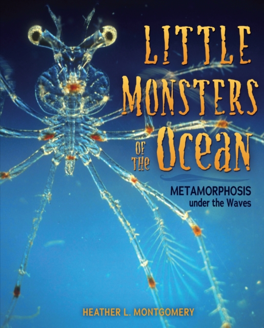 Little Monsters of the Ocean : Metamorphosis under the Waves, EPUB eBook