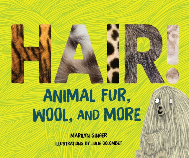 Hair! : Animal Fur, Wool, and More, EPUB eBook