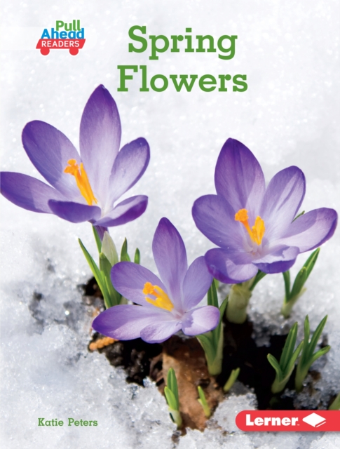 Spring Flowers, EPUB eBook