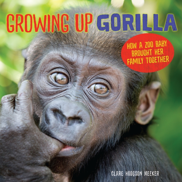 Growing Up Gorilla : How a Zoo Baby Brought Her Family Together, EPUB eBook