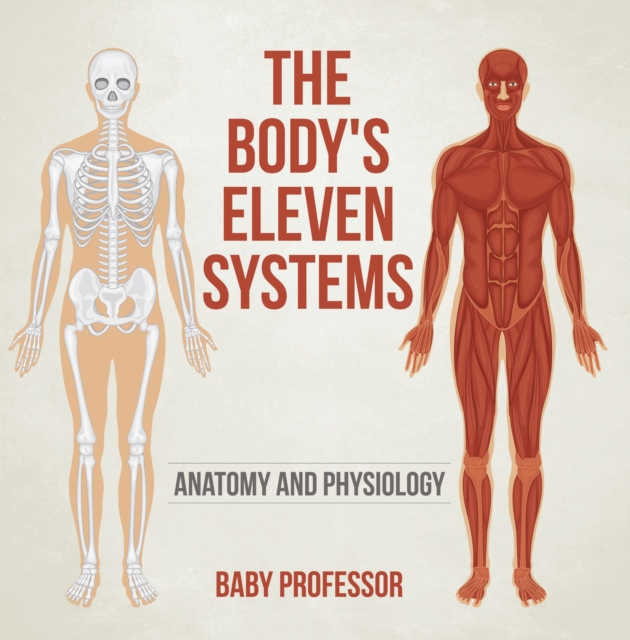 The Body's Eleven Systems | Anatomy and Physiology, EPUB eBook