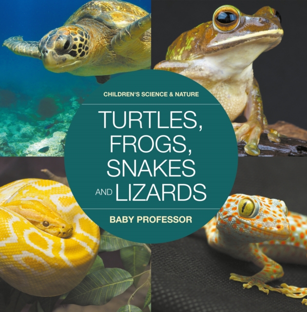 Turtles, Frogs, Snakes and Lizards | Children's Science & Nature, EPUB eBook