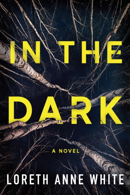 In the Dark, Paperback / softback Book
