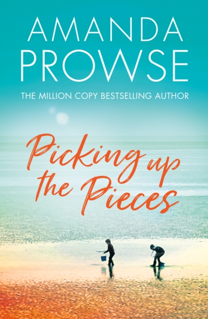 Picking up the Pieces, Paperback / softback Book