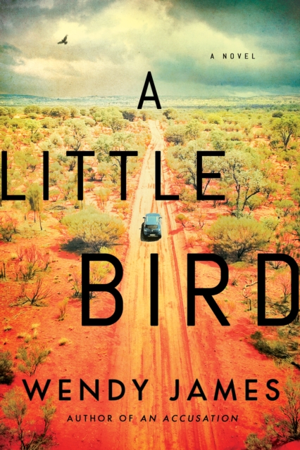 A Little Bird : A Novel, Paperback / softback Book