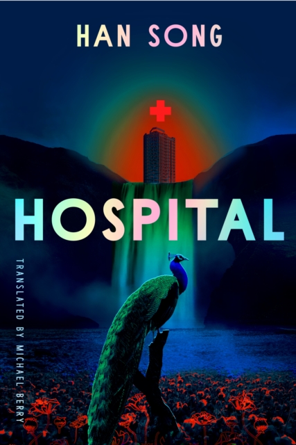 Hospital, Paperback / softback Book