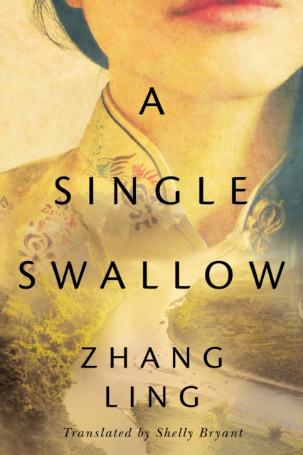 A Single Swallow, Paperback / softback Book
