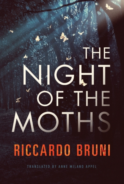 The Night of the Moths, Paperback / softback Book