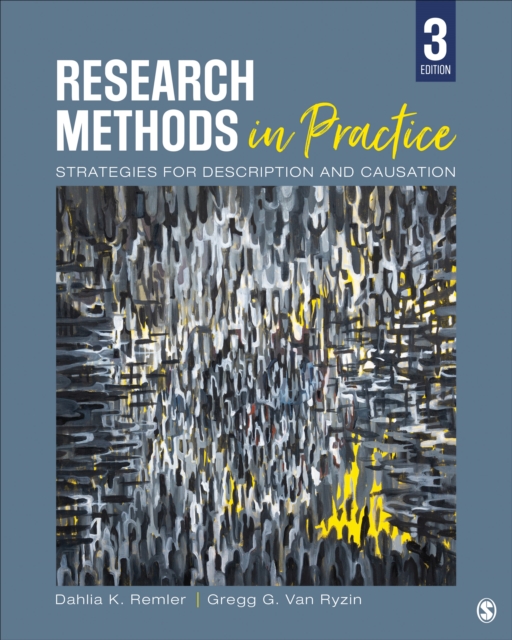 Research Methods in Practice : Strategies for Description and Causation, Paperback / softback Book