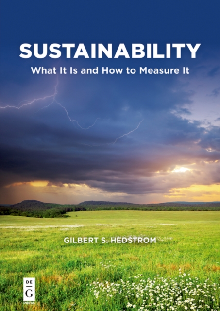 Sustainability : What It Is and How to Measure It, PDF eBook